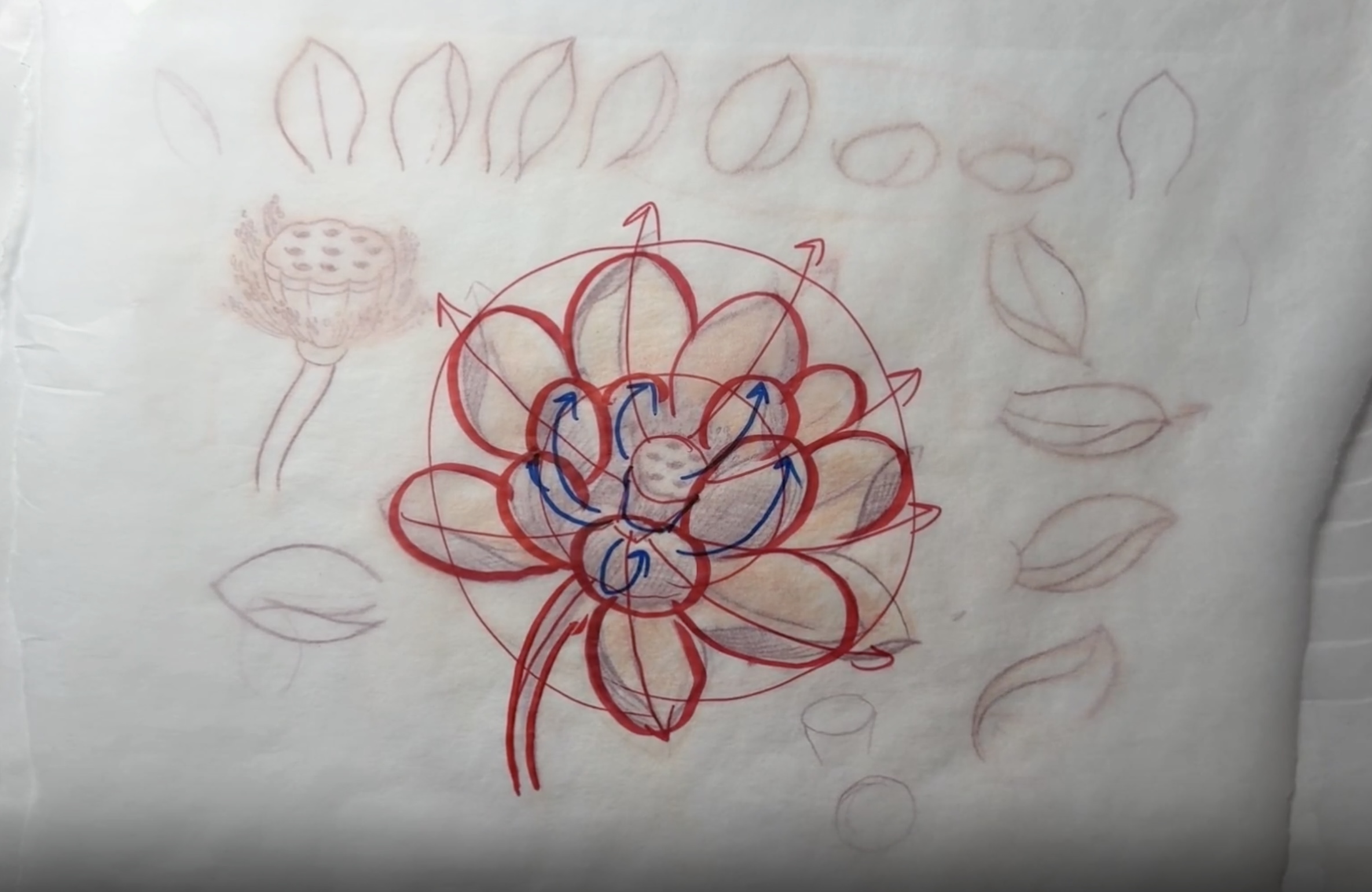 Lotus Flower petals and structure course preview