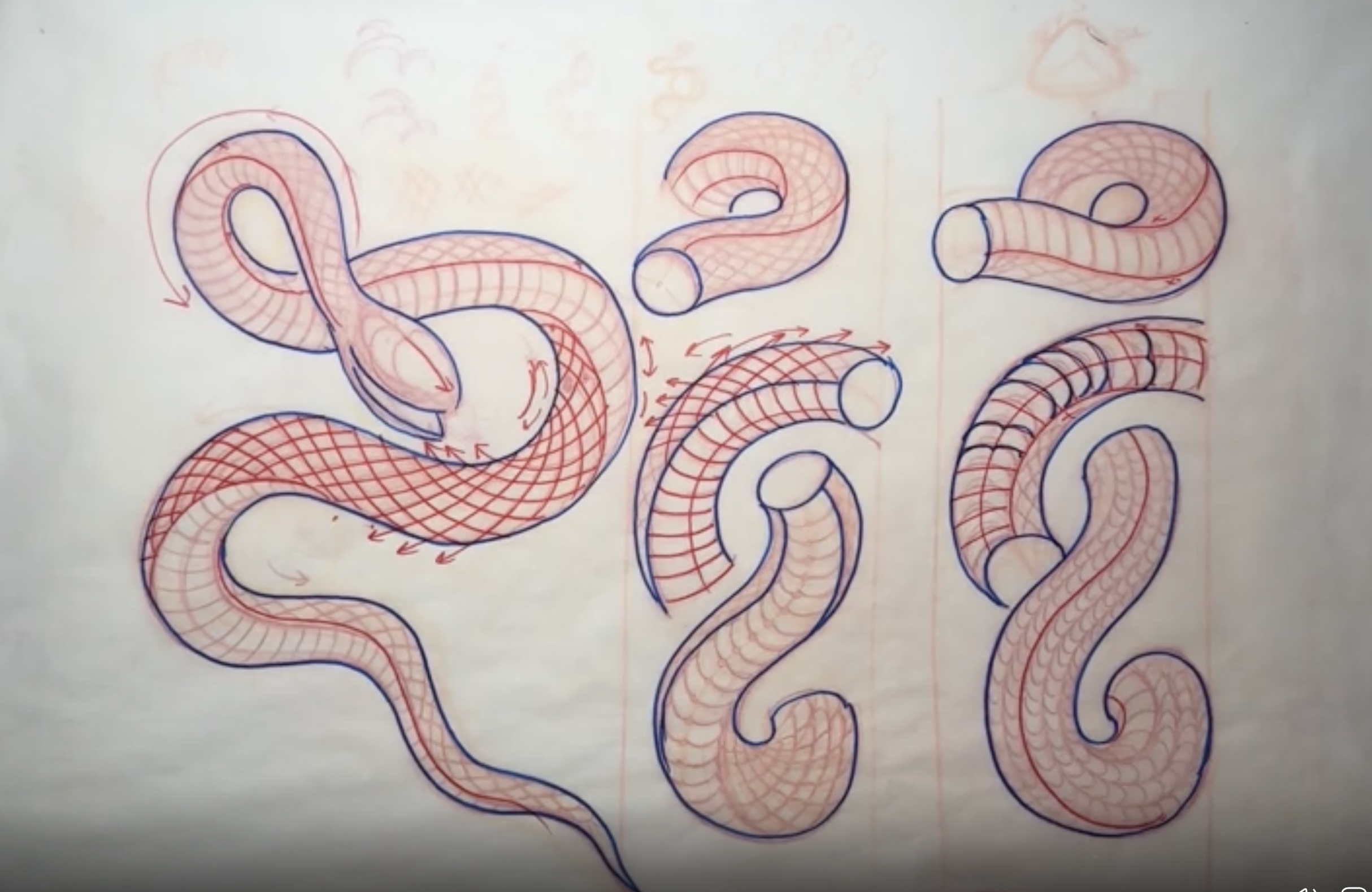 Snake Bodies motion and scales course preview