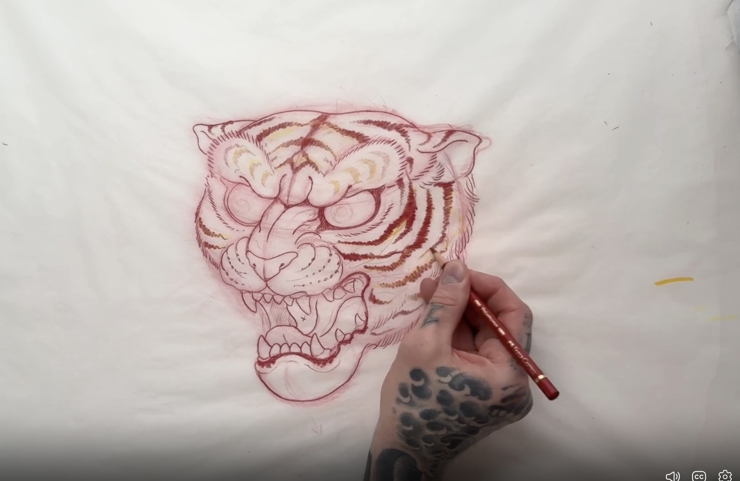 Tiger Heads anatomy course preview